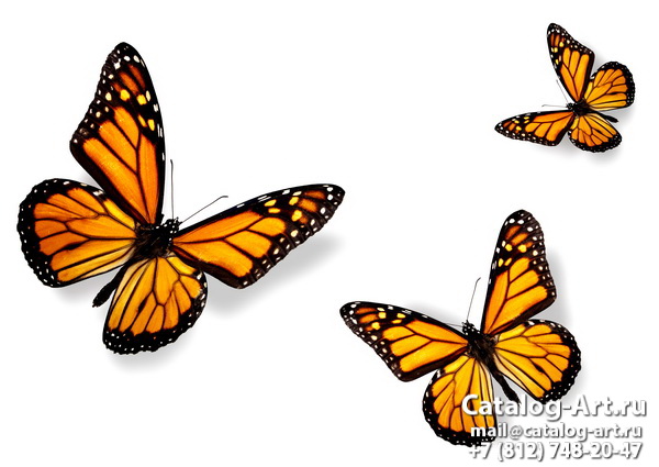  Butterflies 58